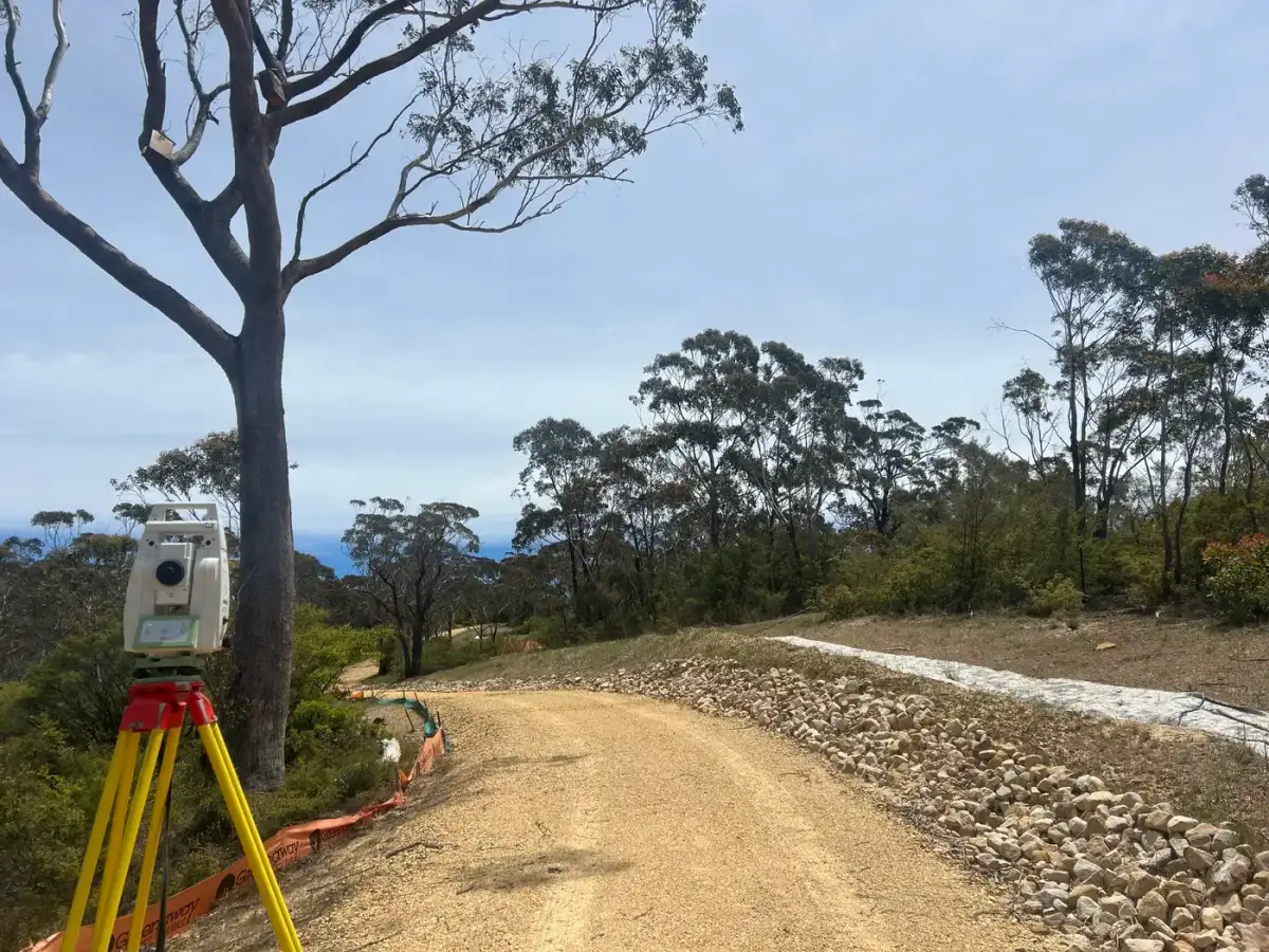 Land Consolidation Surveys