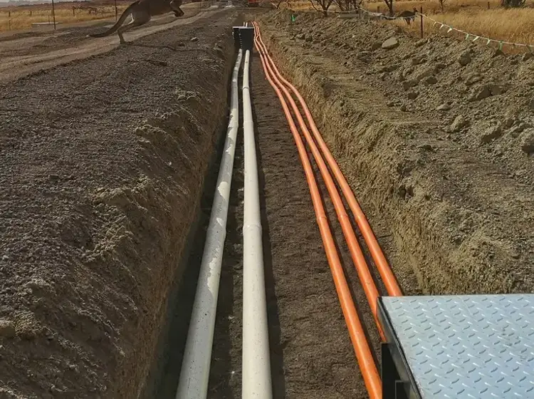 Utility Surveys